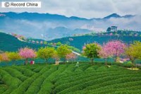 /album/%e9%a2%a8%e6%99%af/images505lqezx-jpg/