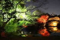 /album/%e9%a2%a8%e6%99%af/imagesd9ddqh21-jpg/