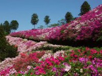 /album/%e9%a2%a8%e6%99%af/imagesgyenlezg-jpg/