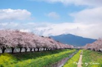 /album/%e9%a2%a8%e6%99%af/imagesm7gxf6d0-jpg/