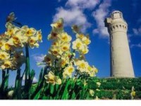 /album/%e9%a2%a8%e6%99%af/imagesuddsrumm-jpg/