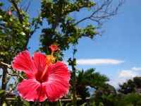 /album/%e9%a2%a8%e6%99%af/imagesv35yfjcj-jpg/