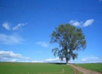 /album/%e9%a2%a8%e6%99%af/my-jpg/