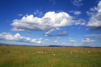 /album/%e9%a2%a8%e6%99%af/sddde-jpg/