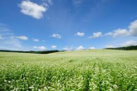 /album/%e9%a2%a8%e6%99%af/vfff-jpg/